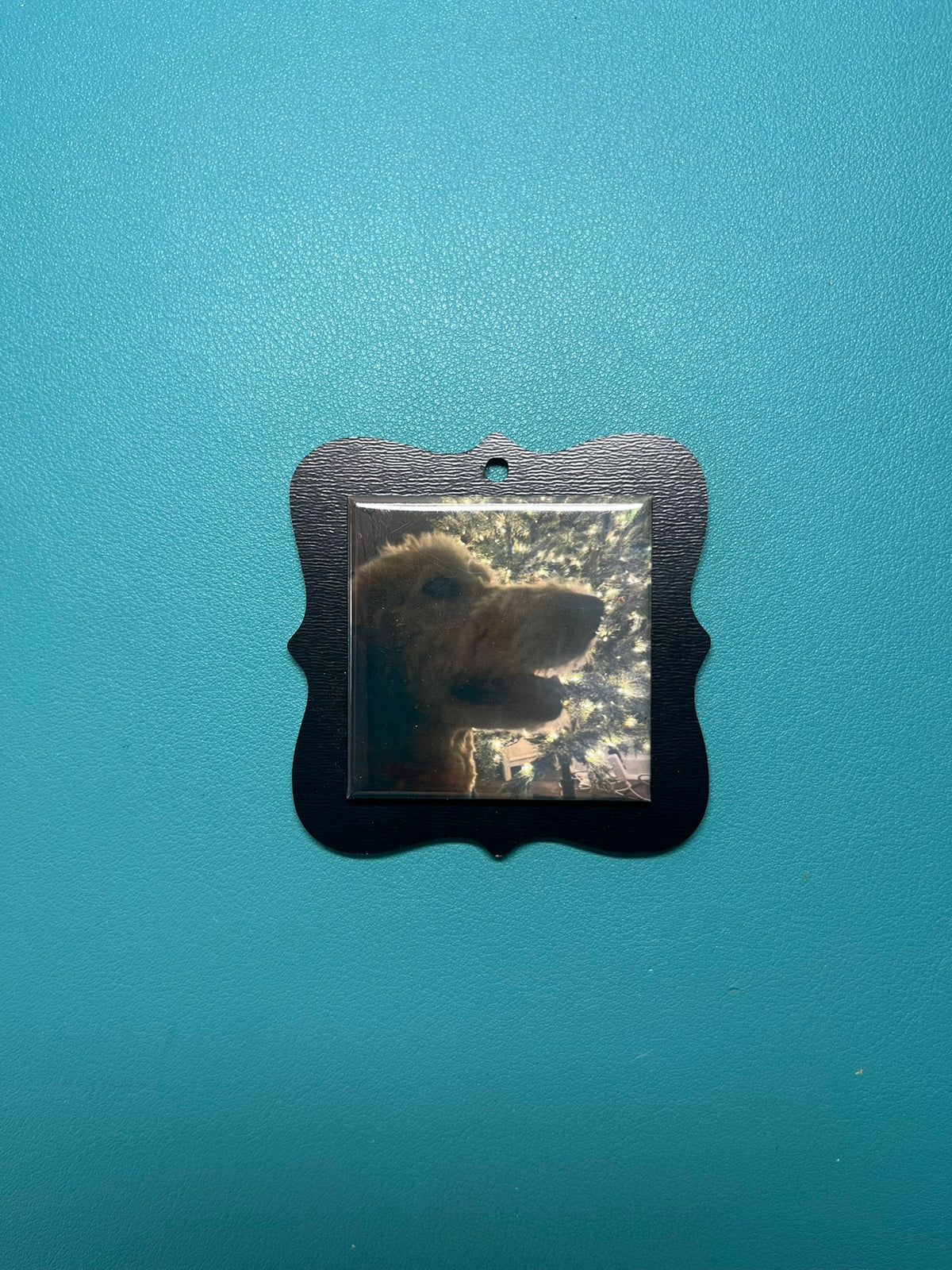 Premium Photo Magnet Ornament