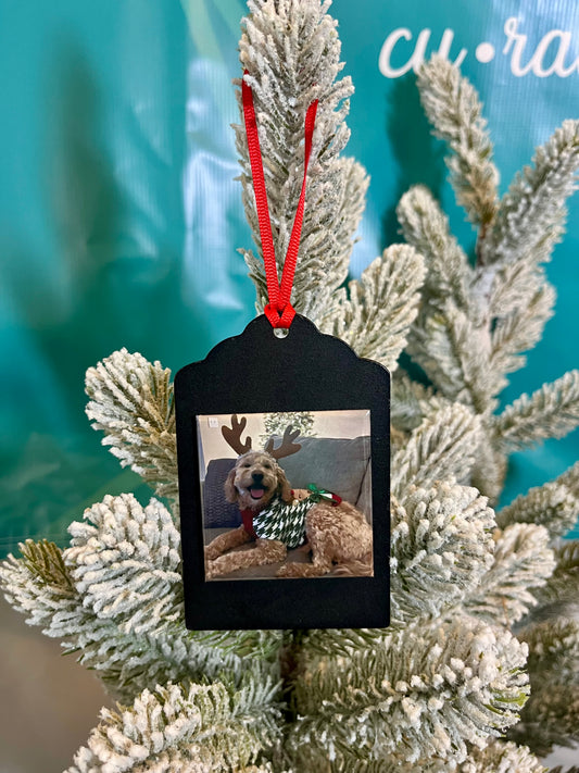 Standard Photo Magnet Ornament