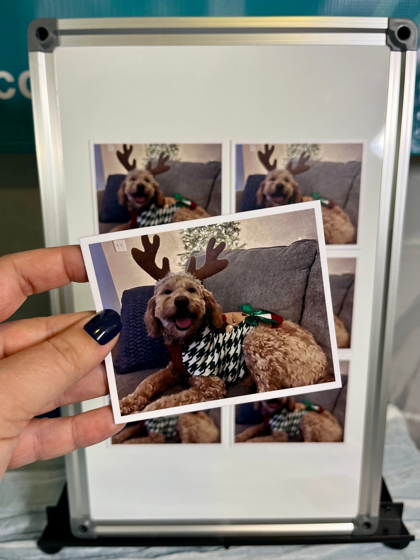 Flexible Custom Photo Magnets