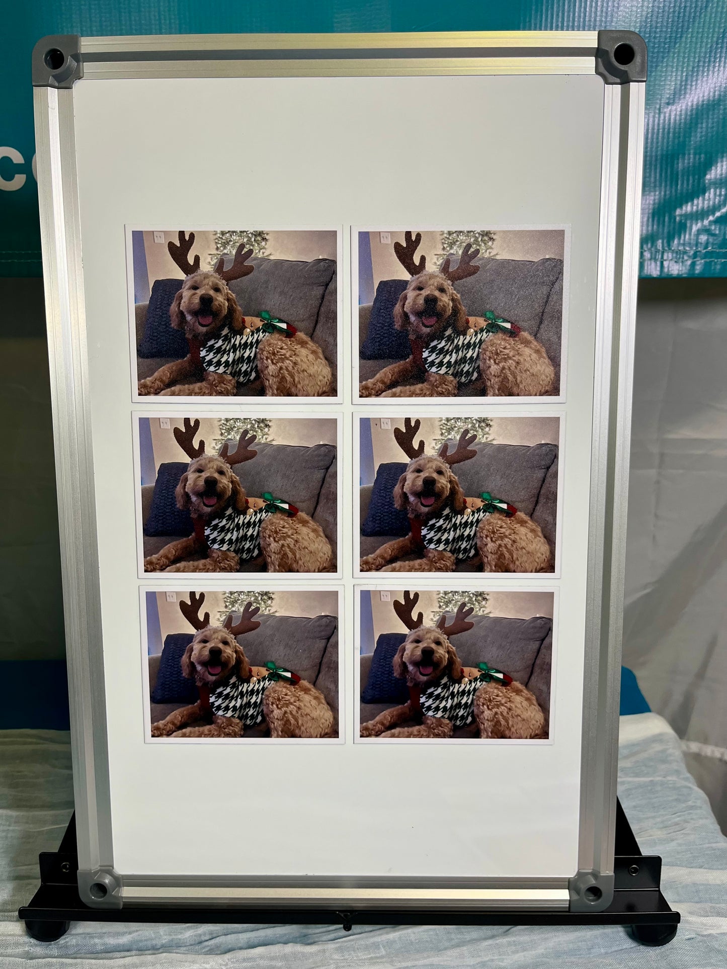 Flexible Custom Photo Magnets