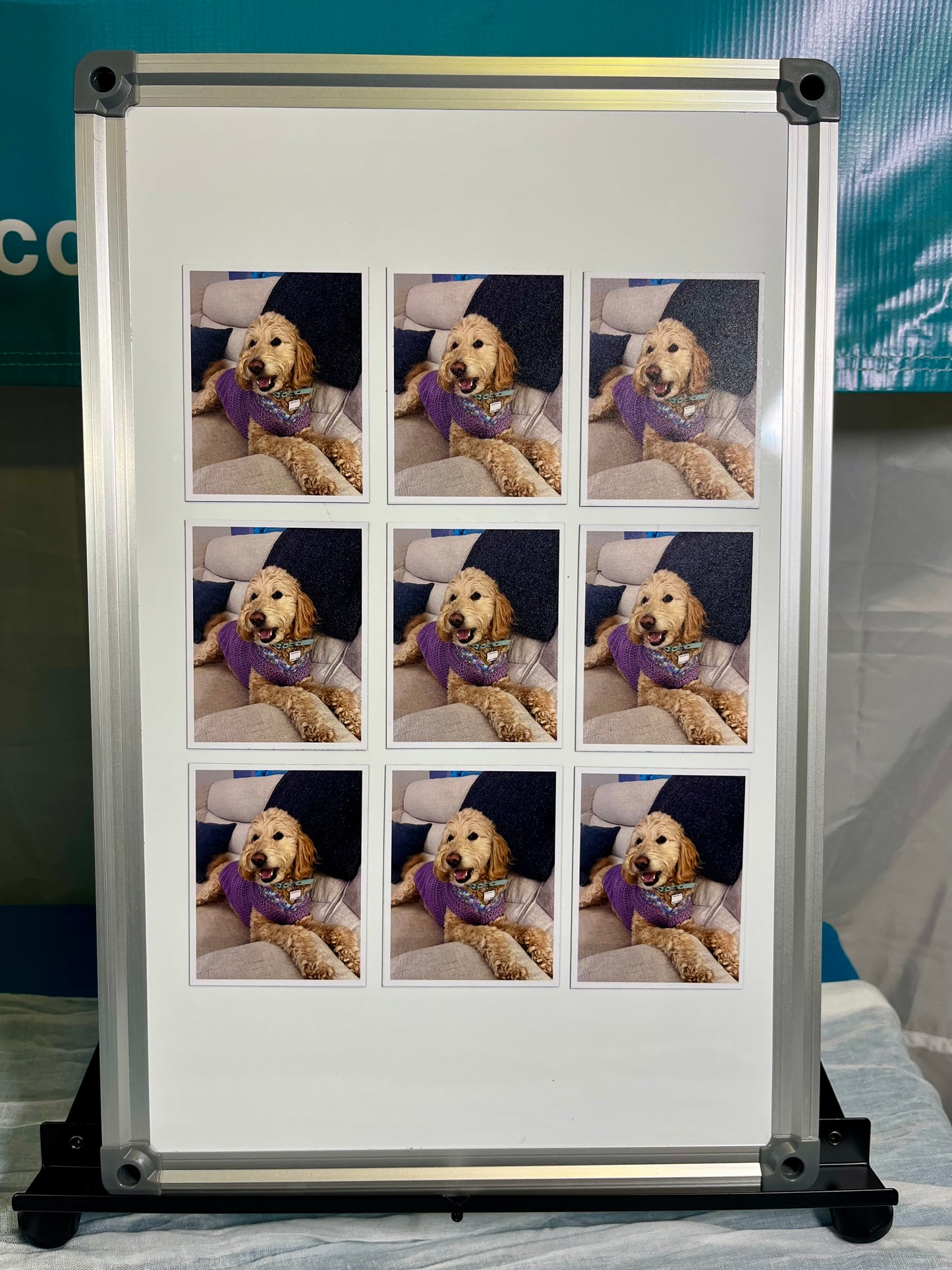 Flexible Custom Photo Magnets