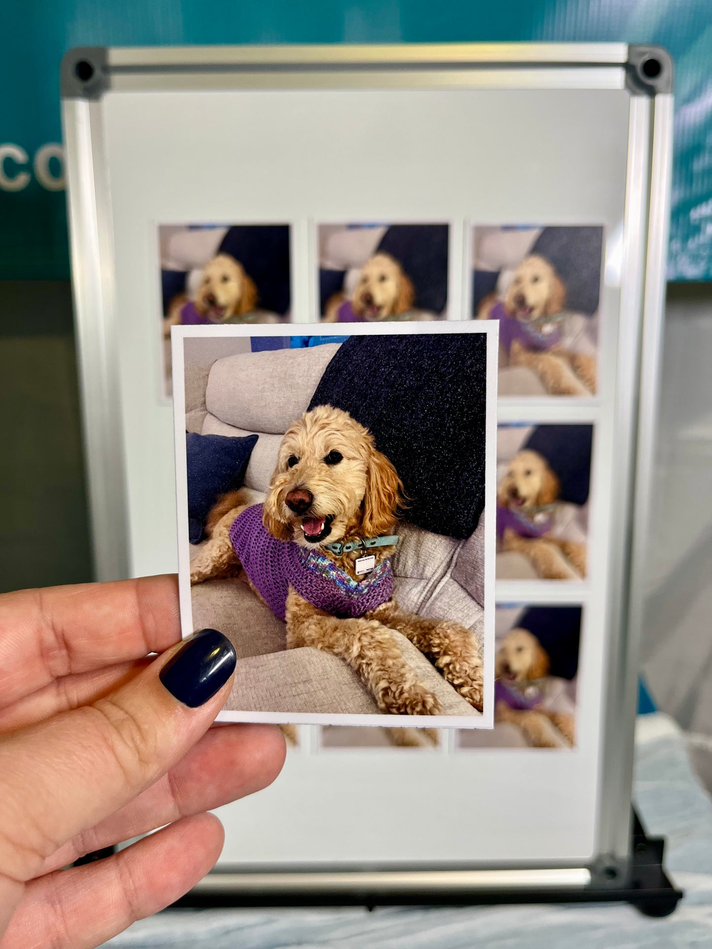 Flexible Custom Photo Magnets