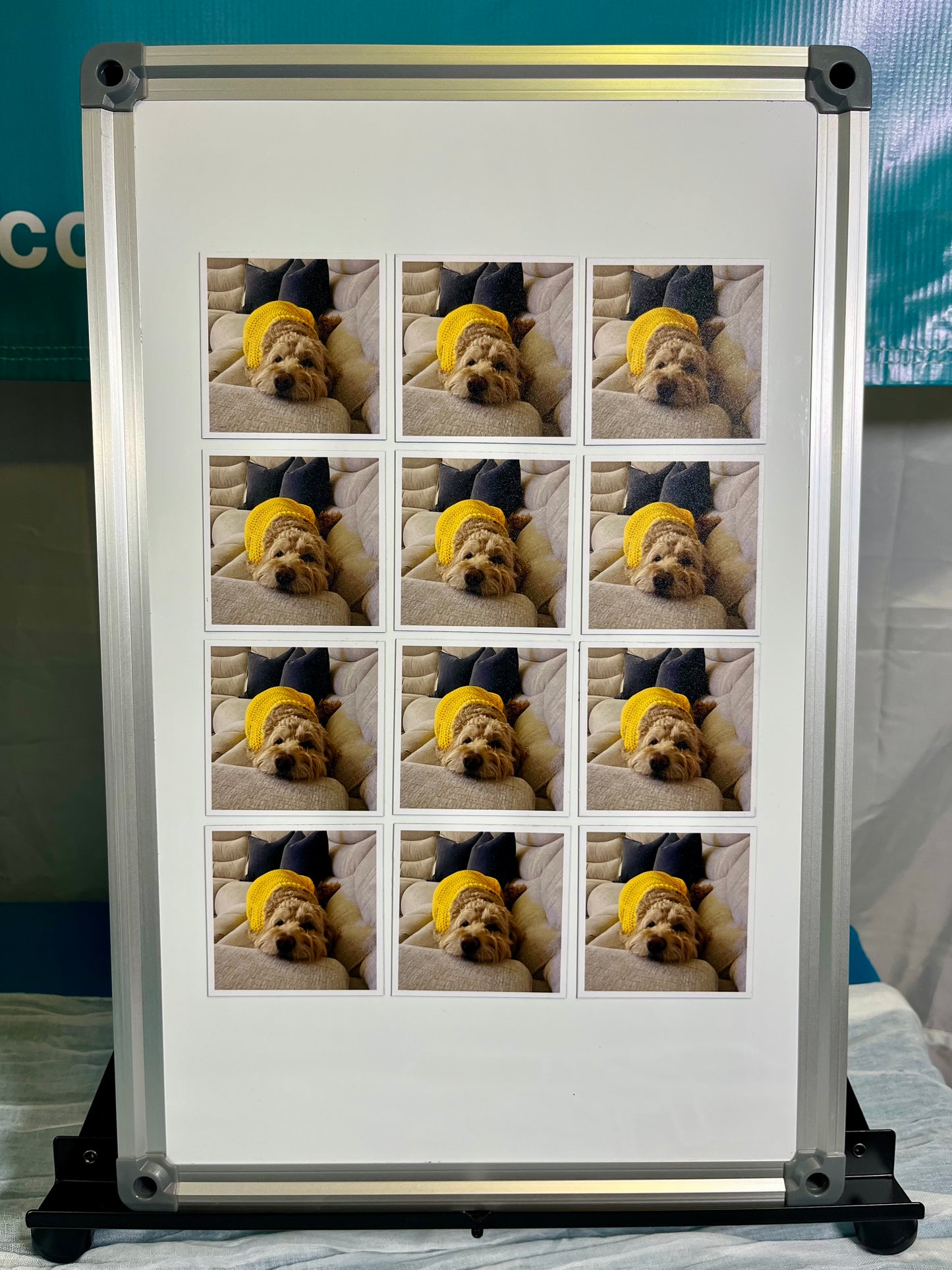 Flexible Custom Photo Magnets