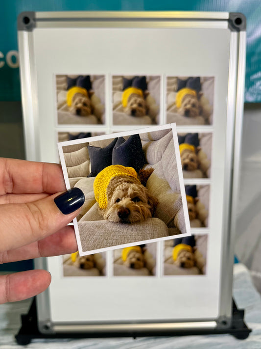 Flexible Custom Photo Magnets