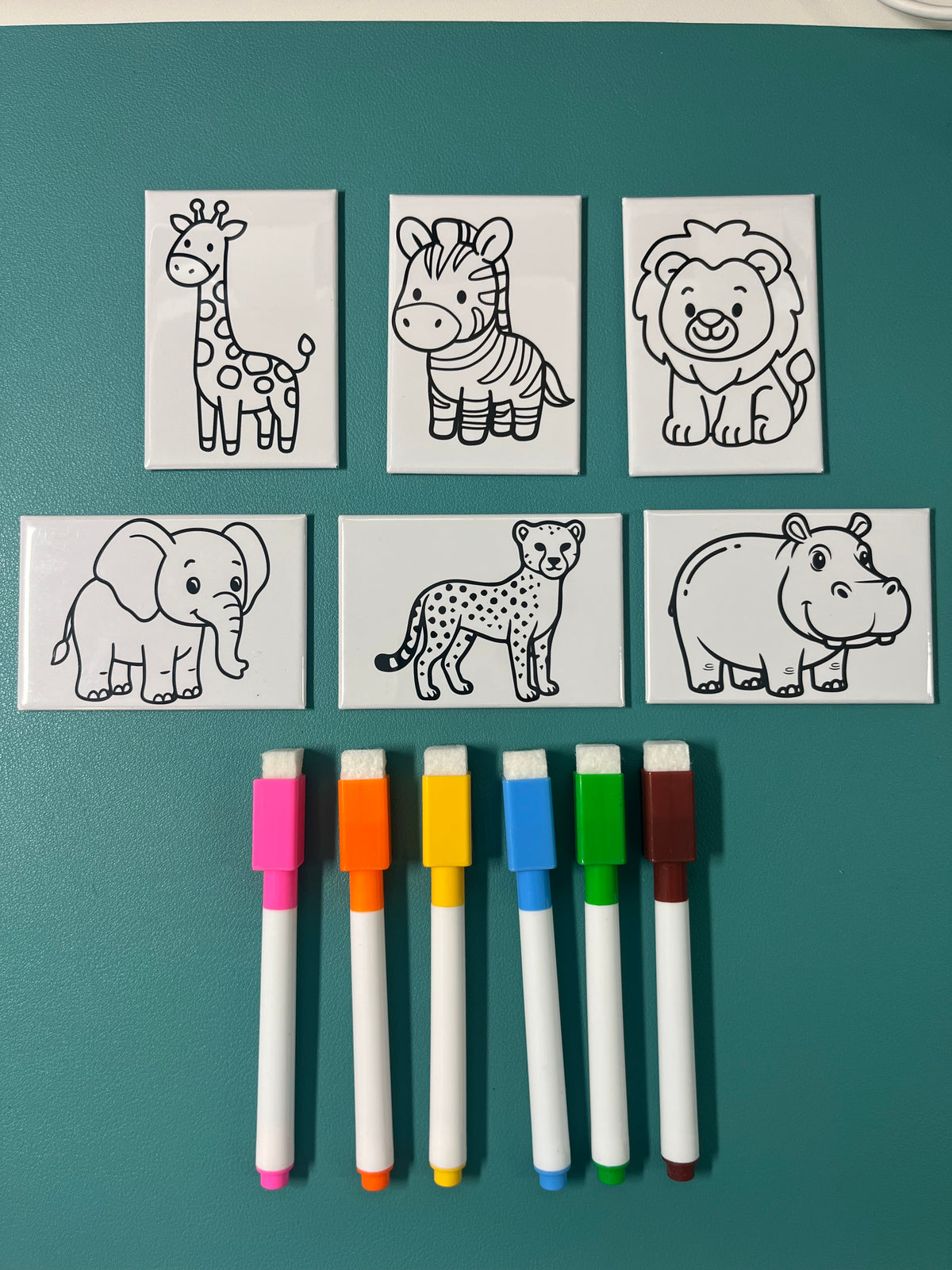 Dry Erase Coloring Magnets