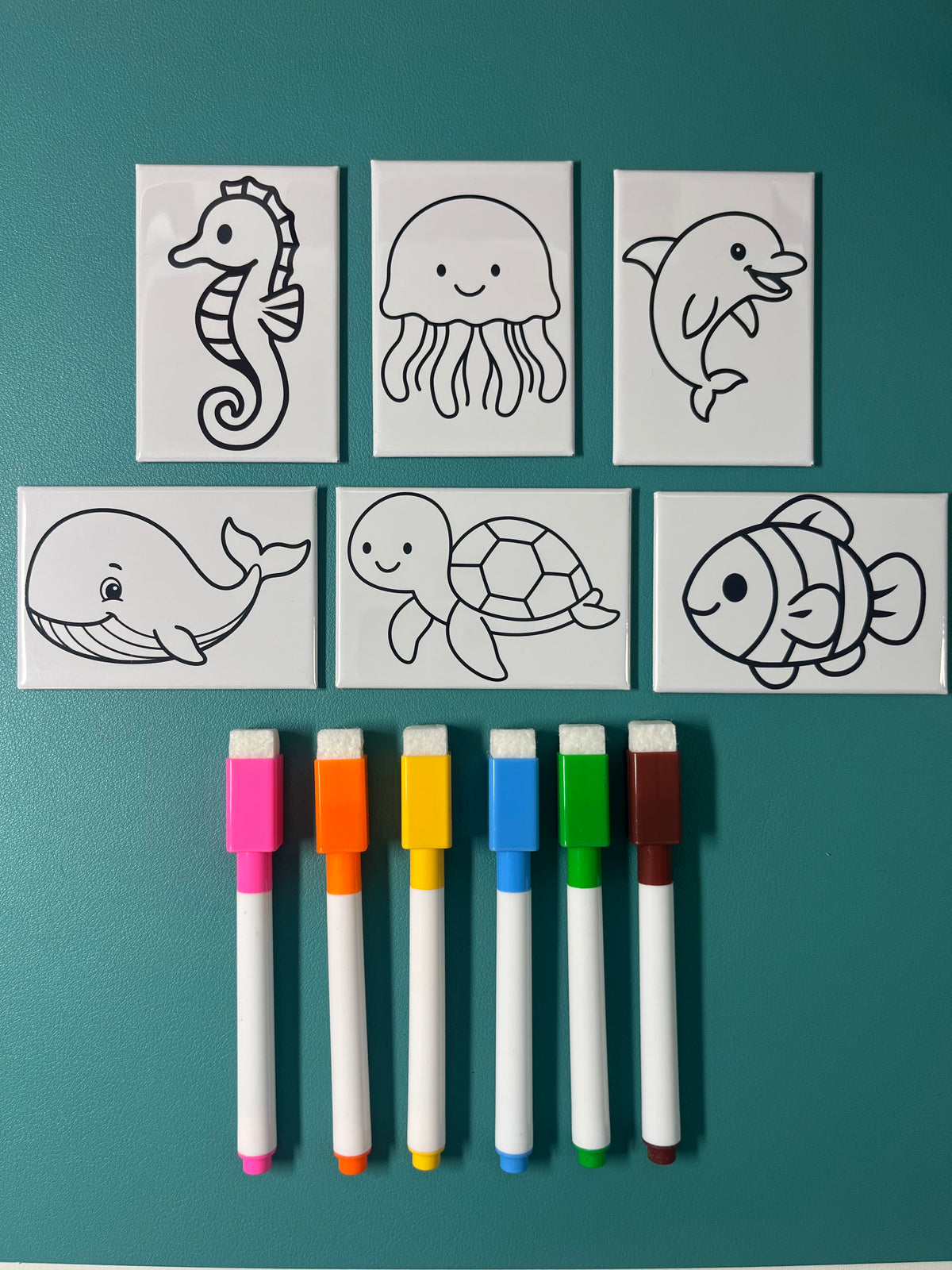 Dry Erase Coloring Magnets
